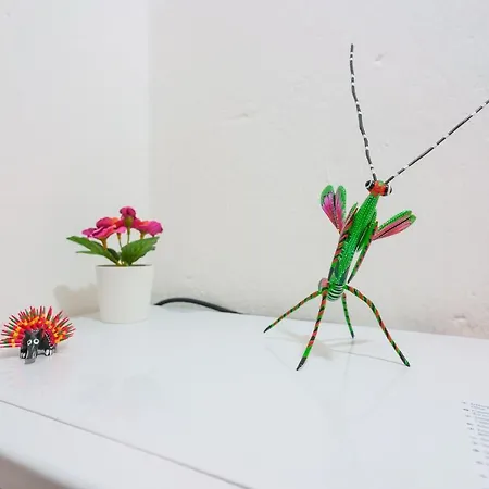 Francina House Lejlighed